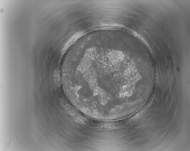 X0000059851362200511111800