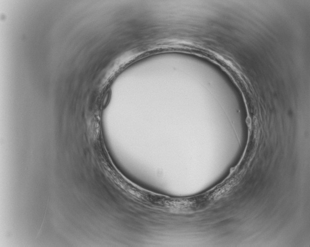 X0000059851363200511111800