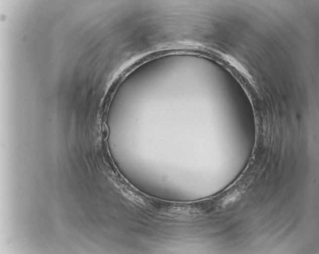 X0000059851364200511111800