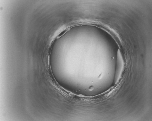 X0000059851365200511111800