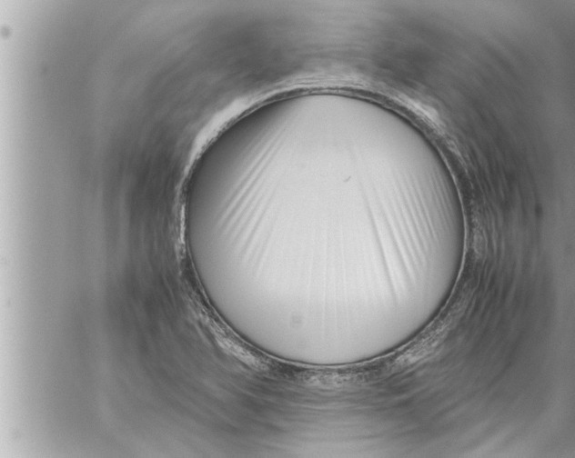 X0000059851366200511111800