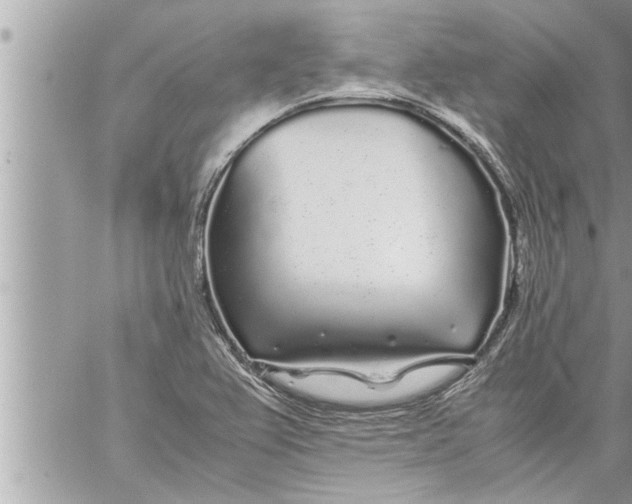 X0000059851367200511111800