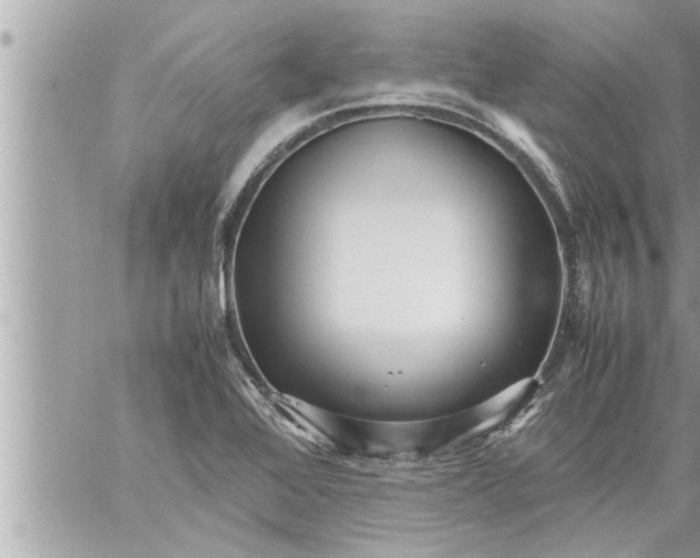 X0000059851368200511111800