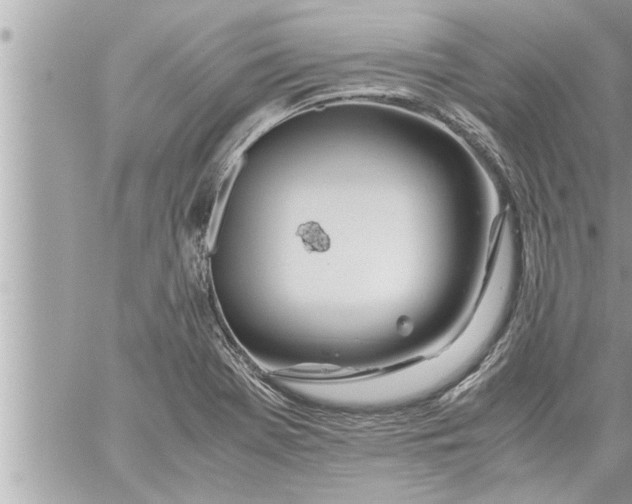 X0000059851369200511111800