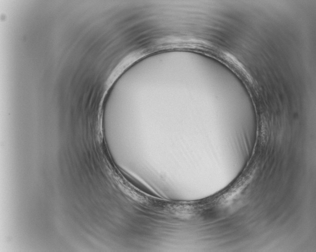 X0000059851370200511111800