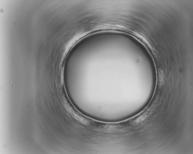 X0000059851371200511111800