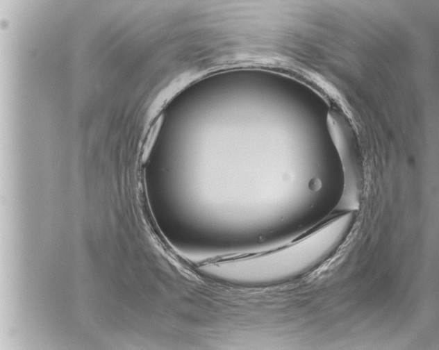 X0000059851373200511111800