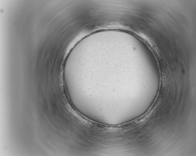 X0000059851374200511111800