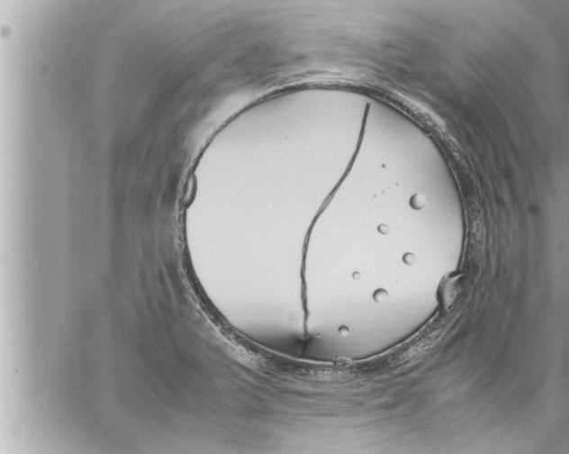 X0000059851375200511111800