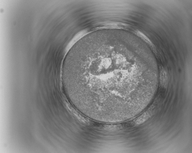 X0000059851378200511111800