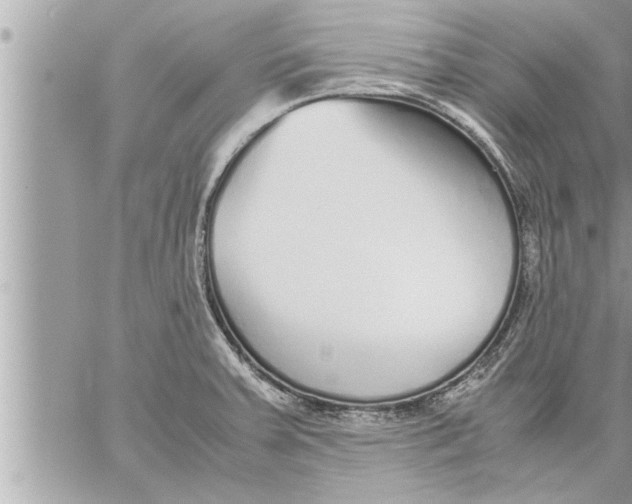 X0000059851379200511111800