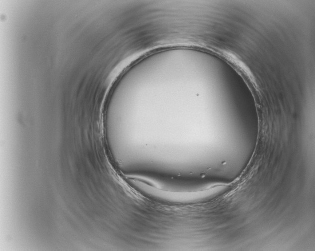 X0000059851380200511111800