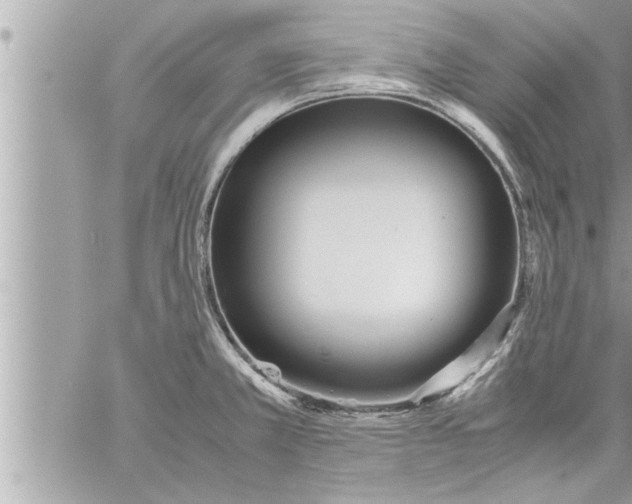 X0000059851381200511111800