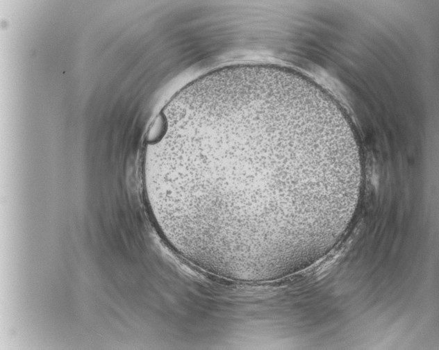 X0000059851382200511111800