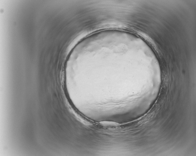 X0000059851383200511111800