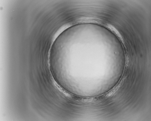 X0000059851386200511111800