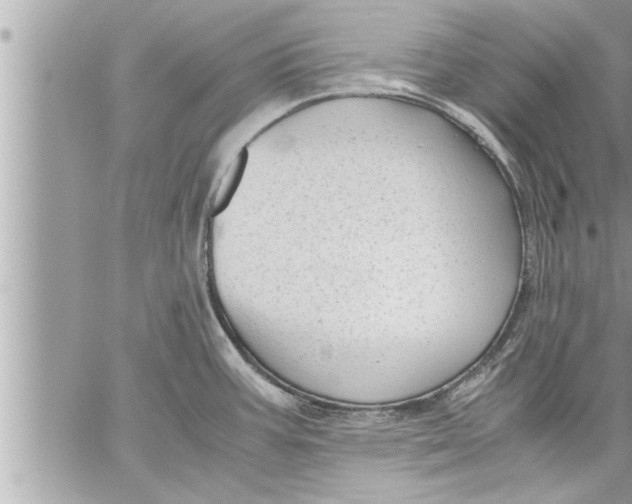 X0000059851387200511111800