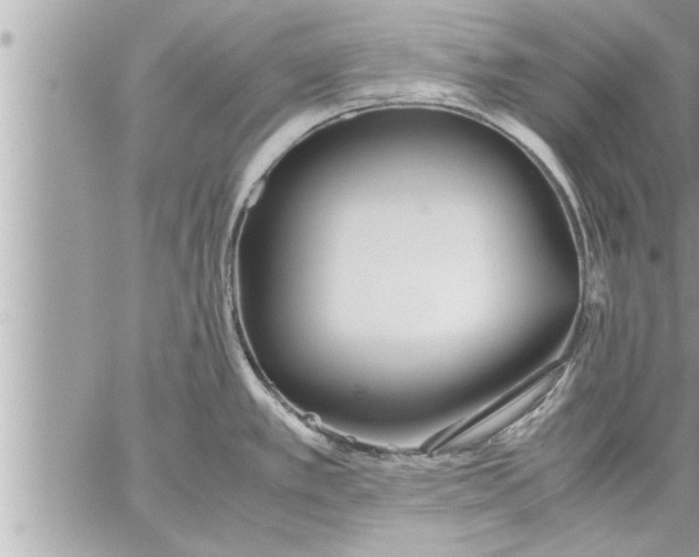 X0000059851389200511111800