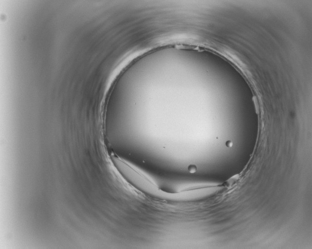 X0000059851392200511111759