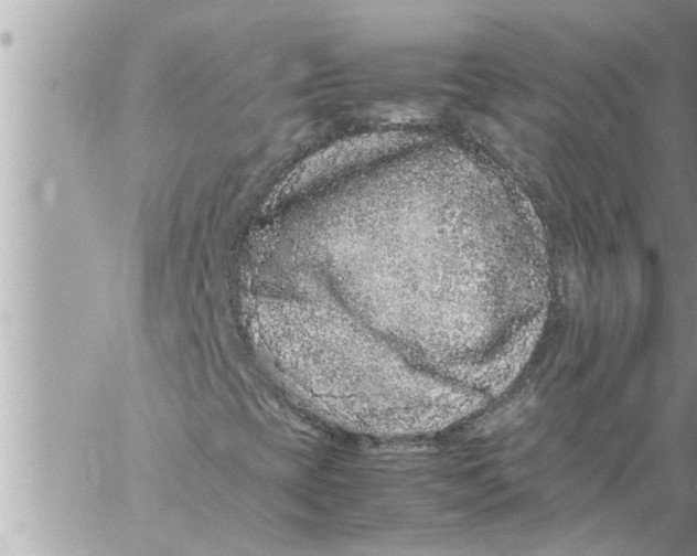 X0000059851393200511111759