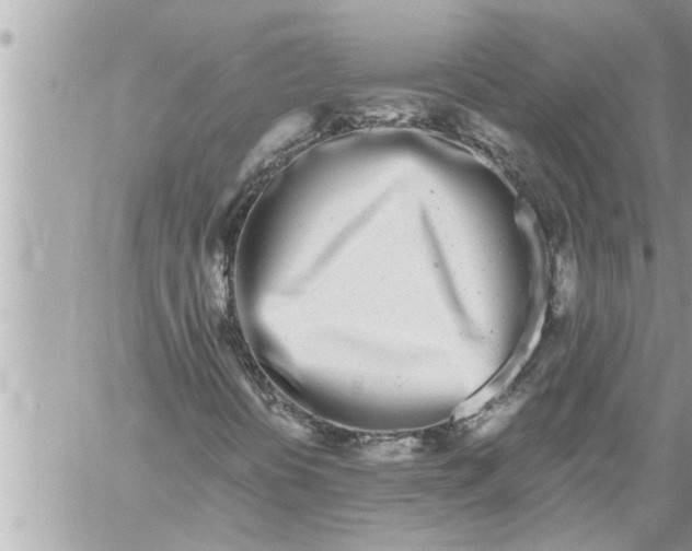 X0000059851394200511111759