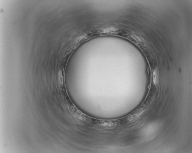 X0000059851395200511111759