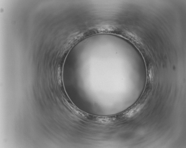 X0000059851396200511111759