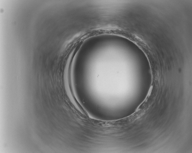 X0000059851398200511111759