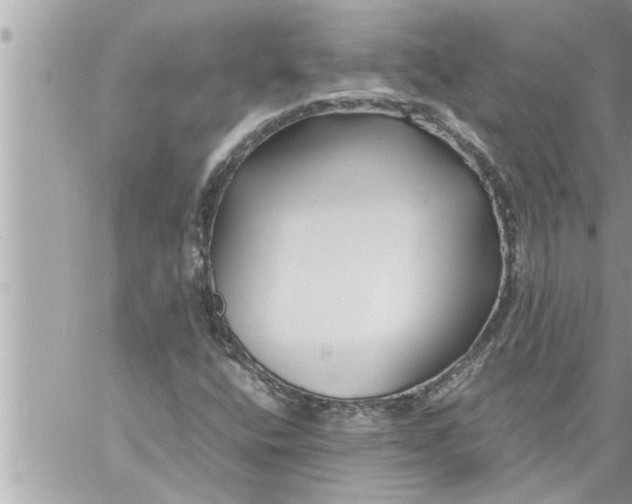 X0000059851400200511111759