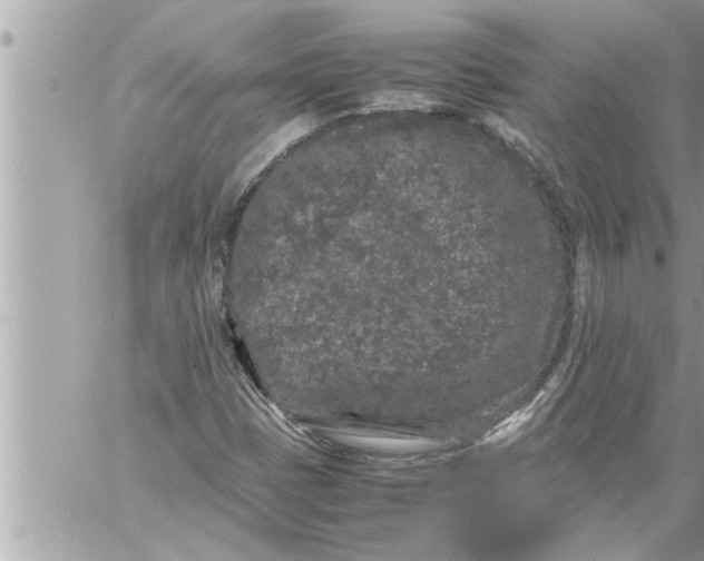 X0000059851401200511111759