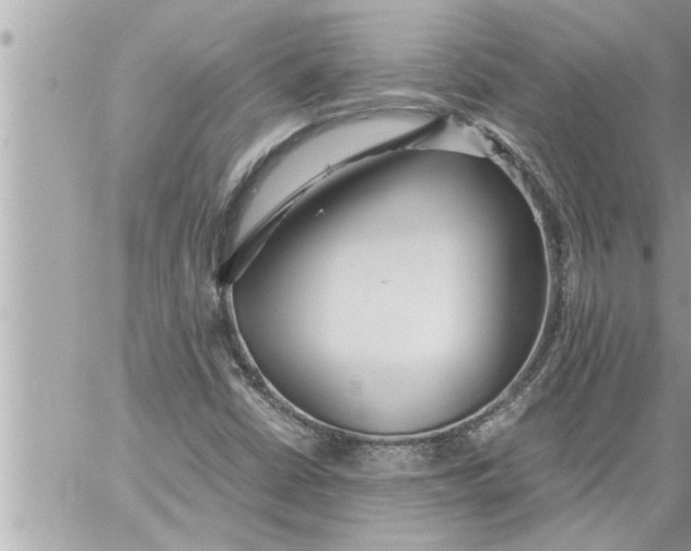 X0000059851402200511111759