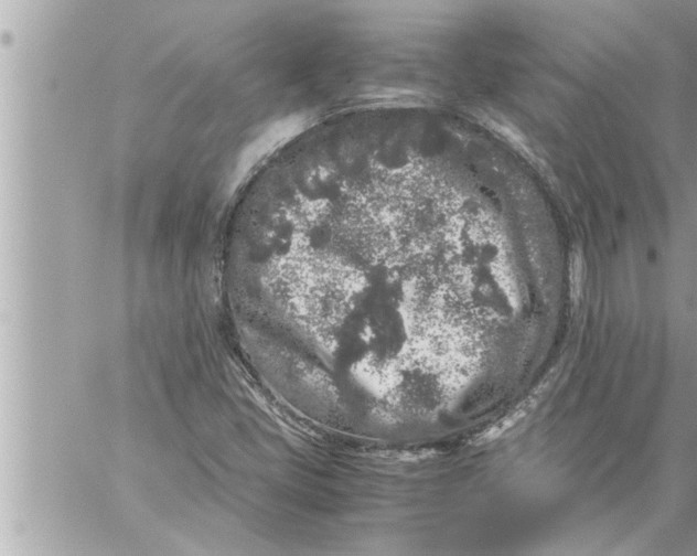 X0000059851405200511111759