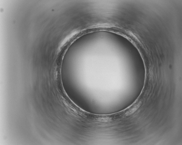 X0000059851406200511111759