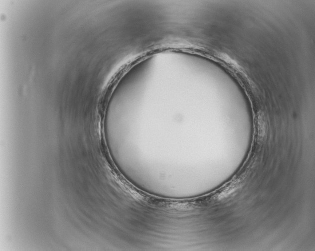 X0000059851408200511111759