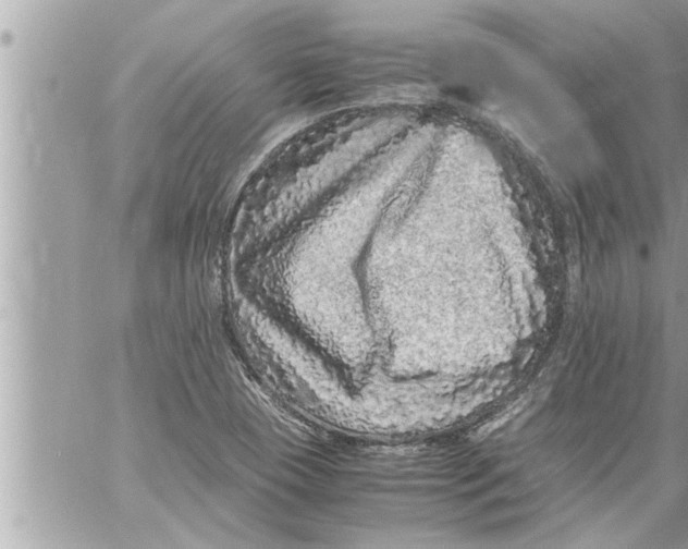 X0000059851409200511111759