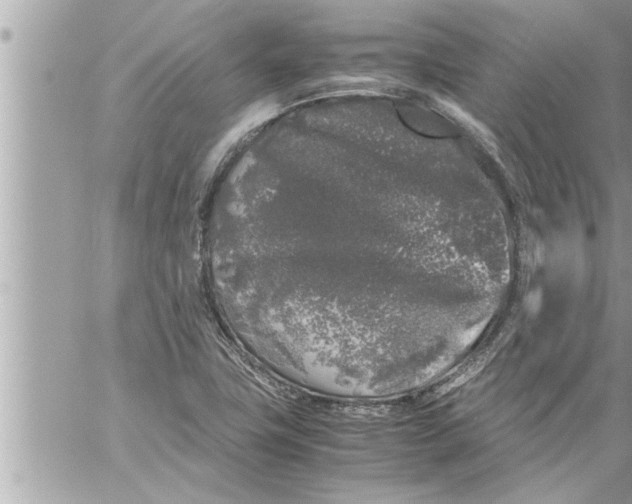 X0000059851411200511111759