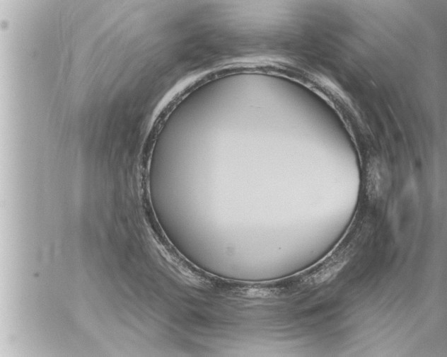 X0000059851412200511111759