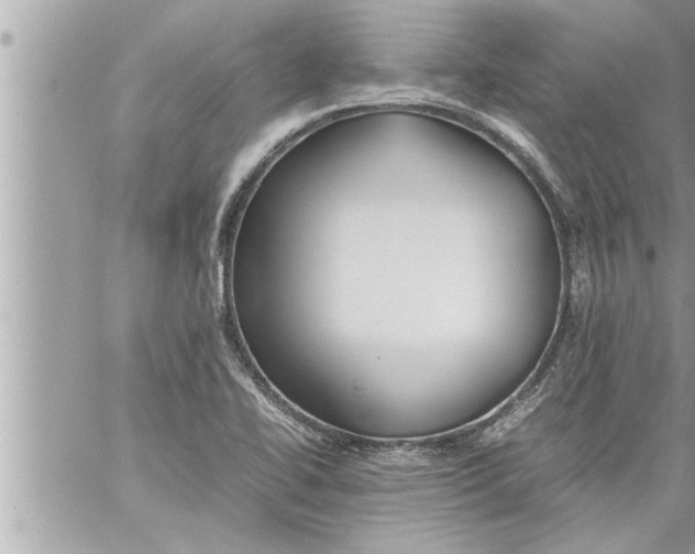 X0000059851414200511111759