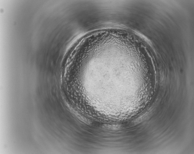 X0000059851415200511111759