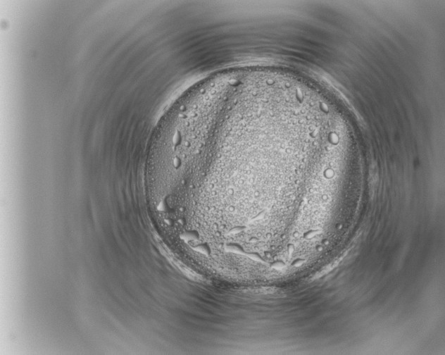 X0000059851417200511111759