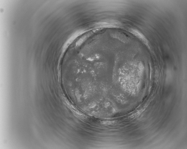 X0000059851419200511111759