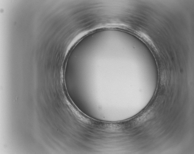 X0000059851420200511111759