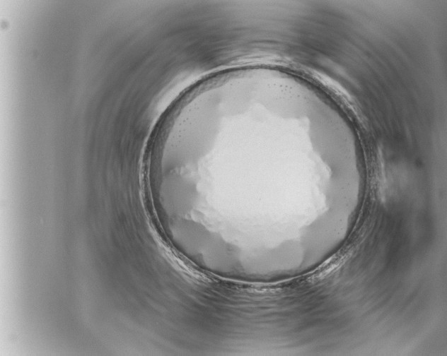 X0000059851423200511111759