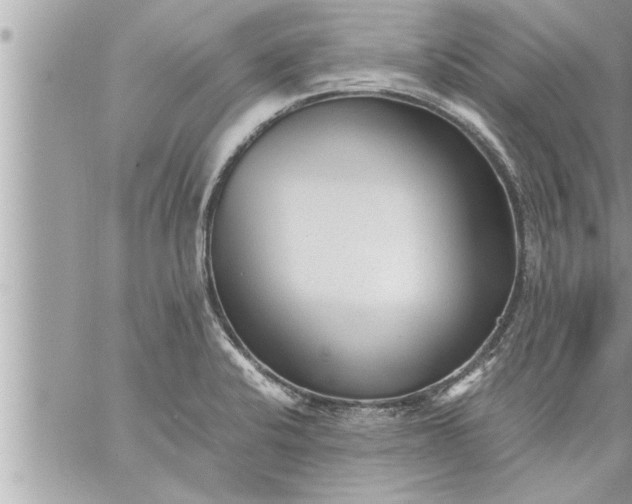 X0000059851424200511111759