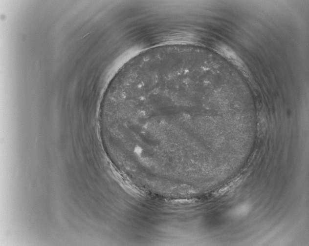 X0000059851427200511111759