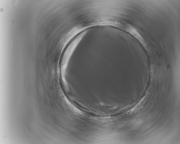 X0000059851428200511111759