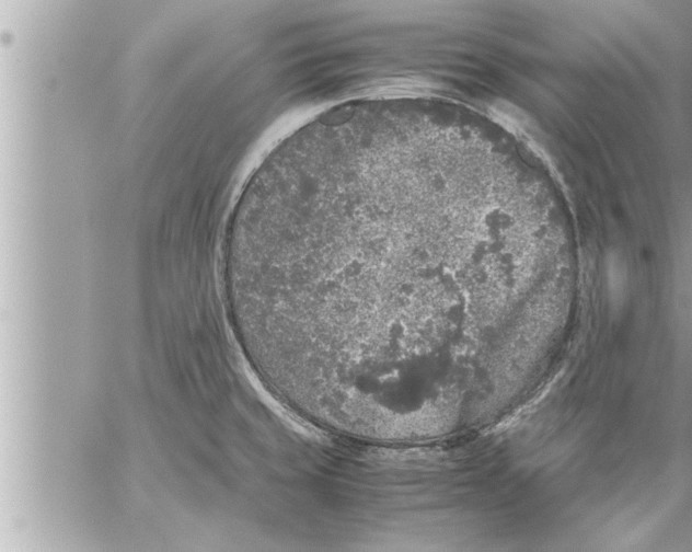 X0000059851429200511111759