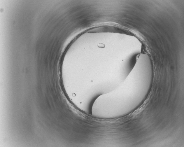 X0000059851430200511111759