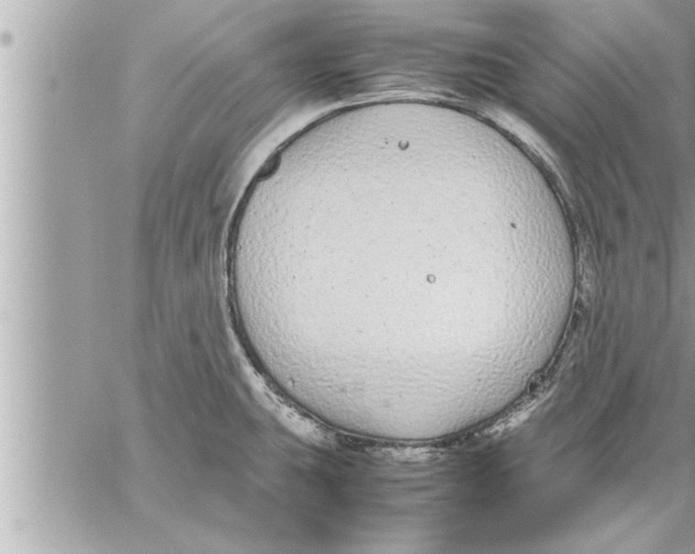 X0000059851431200511111759