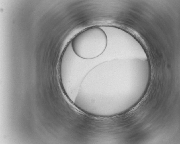 X0000059851432200511111759